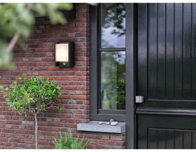 Philips 16461/93/16 - LED Vonkajšie svietidlo so senzorom ARBOUR LED/6W IP44