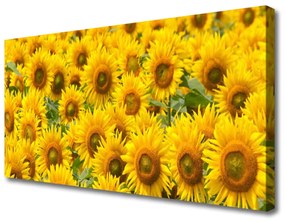Obraz na plátne Slunecznice rastlina 125x50 cm