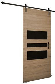 Posuvné dvere Roko I 100, Farba:: grafit