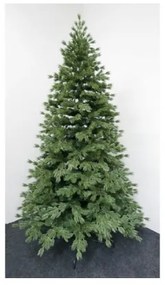 Limpol Jedľa Zuza 2,40 m