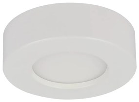 Globo GLOBO 41605-9D - LED Stmievateľné kúpeľňové svietidlo PAULA 1xLED/9W/230V GL4851