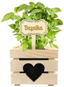 AMADEA Drevený zápich - ceduľka na bylinky Bazalka, výška 20 cm, český výrobok