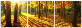 Obraz na plátne - Jesenný les - panoráma 5176B (90x30 cm)