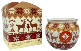 Arome Sviečka v skle a flower boxe, Magical Winter, 90 g