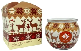 Arome Sviečka v skle a flower boxe, Magical Winter, 90 g
