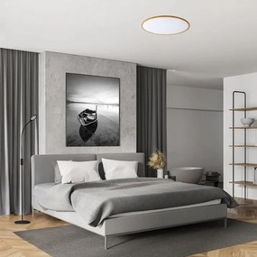 Moderné svietidlo RENDL RED LANA 60 stropné svietidlo CCT R14307