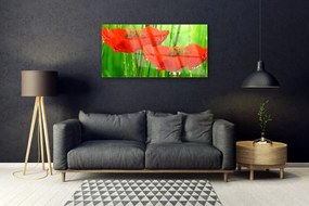 Obraz na skle Maky rastlina príroda 120x60 cm