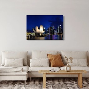Obraz nočného Singapuru (90x60 cm)