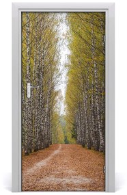 Fototapeta na dvere samolepiace Břízová les 85x205 cm