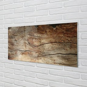 Obraz na skle dreva board 125x50 cm