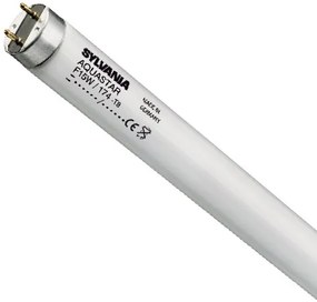 Sylvania F25W/T8/30"/174 Aquastar Retail