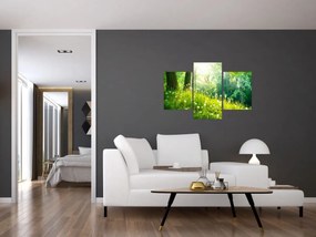 Obraz - Magická lúka plná púpav (90x60 cm)