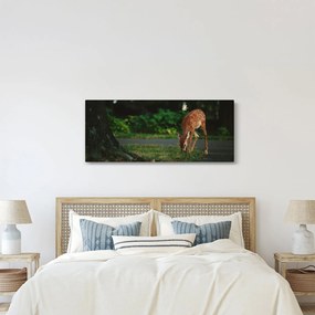 Obraz srnky (120x50 cm)