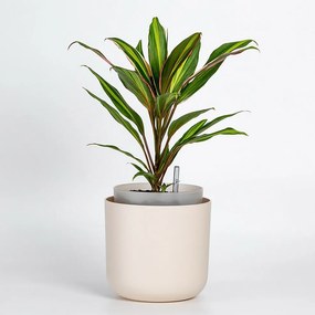 Plastia Samozavlažovací kvetináč Tolita béžová, pr. 19 cm, pr. 19 cm