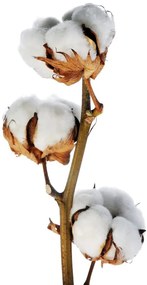 Gipetex Natural Dream 3D talianská obliečka 100% bavlna Amorini - snehuliaci - 140x220 / 70x90 cm