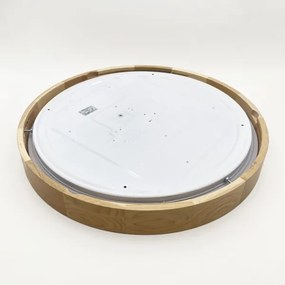 BRILAGI - LED stmievateľné stropné svietidlo MANAROLA SMART LED/36W/230V priemer 51 cm + diaľkové ovládanie