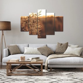 Obraz kvitnúcej trávy (150x105 cm)