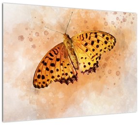 Obraz - Oranžový motýľ, aquarel (70x50 cm)