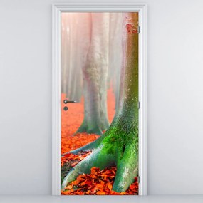 Fototapeta na dvere - Stromy (95x205cm)