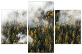 Obraz lesa v mrakoch (90x60 cm)