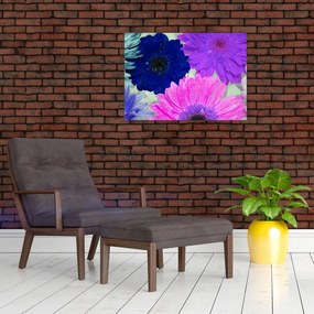 Obraz farebných kvetín (70x50 cm)