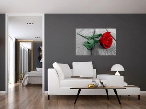 Obraz - Červená ruža so zelenou stonkou (90x60 cm)
