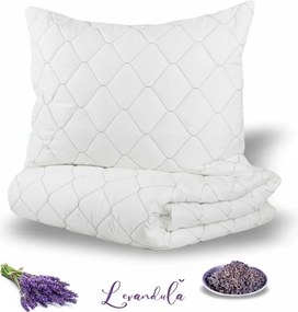 Set prikrývky a vankúša Levanduľa 140x200 70x90 EMI