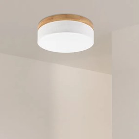 Brilagi - LED stropné svietidlo BELLADONNA LED/36W/230V pr. 40 cm biela/dub