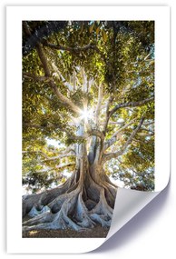 Gario Plagát Veľký exotický strom Farba rámu: Bez rámu, Veľkosť: 40 x 60 cm
