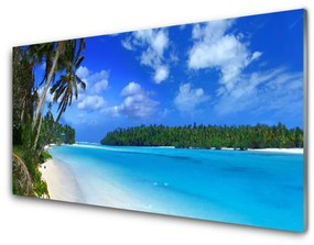 Obraz na akrylátovom skle Pláž palmy more krajina 100x50 cm
