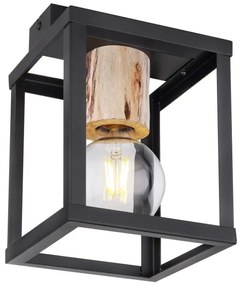 Globo 15476D - Stropné svietidlo HAGAR 1xE27/60W/230V