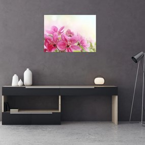 Sklenený obraz - Ružové kvety (70x50 cm)