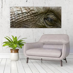 Obraz - Detailné fotografie starého slonieho oka (120x50 cm)