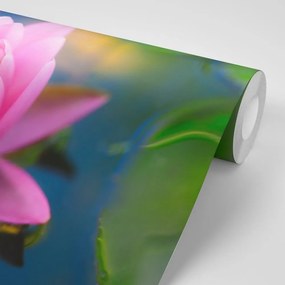 Samolepiaca fototapeta nádherný ružový kvet na jazere - 150x100