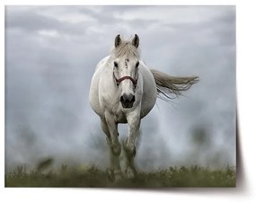 Sablio Plagát Biely kôň 3 - 90x60 cm