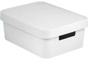 Curver Úložný box INFINITY 11l s vekom biely