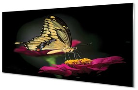 Sklenený obraz Motýľ na kvetine 100x50 cm