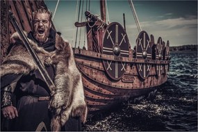 Obraz - Viking (90x60 cm)