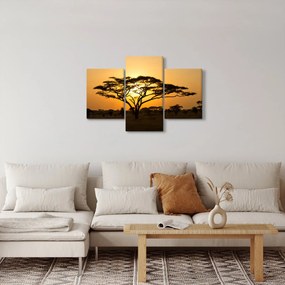 Obraz - Africká savana (90x60 cm)