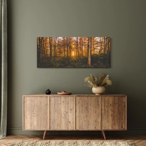 Obraz jesenného lesa (120x50 cm)