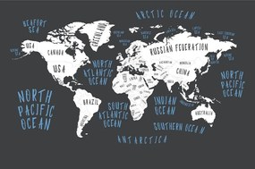 Tapeta mapa sveta v modernom prevedení - 225x150