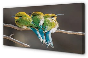 Obraz na plátne Vtáky na vetve 140x70 cm