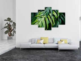 Obraz - Tropické listy (150x105 cm)
