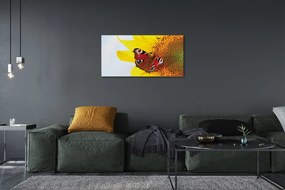 Obraz na plátne slnečnica motýľ 140x70 cm