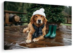 Obraz vianočný pes na terase