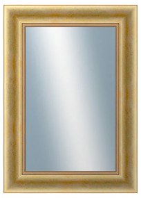 DANTIK - Zrkadlo v rámu, rozmer s rámom 50x70 cm z lišty KŘÍDLO veľké zlaté patina (2772)
