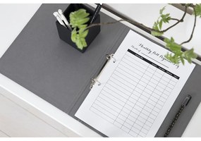 Kartónový organizér na dokumenty Ringo – Bigso Box of Sweden