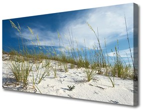 Obraz na plátne Pláž príroda 140x70 cm