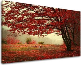 Obraz na stenu STROMY