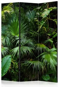 Paraván - Slnečná džungľa 135x172